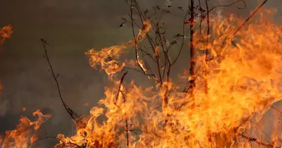 Incêndio no Caniço mobiliza bombeiros