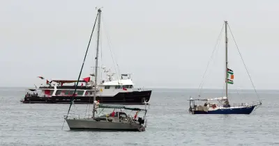 Médio Oriente: Grupo de congressistas pede a Trump que proteja flotilha de Gaza.