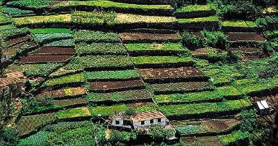 Apoio será conferido até ao mês de março.
