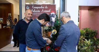 Ribeira Brava lança campanha natalícia de sensibilização animal