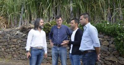 A informação foi avançada hoje por Marco Caldeira, diretor regional de Agricultura e Desenvolvimento.