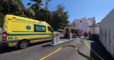 Simulacro na Escola da APEL envolveu cerca de 1.000 pessoas (com fotos)