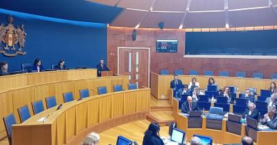 PS, JPP e PSD apresentam votos de protesto contra revogação das ligações da TAP à Venezuela