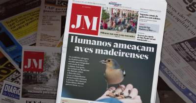 Humanos ameaçam aves madeirenses
