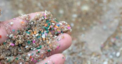 ARDITI apresenta projeto internacional para reforçar monitorização de microplásticos na Macaronésia