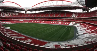 Defesa do Benfica diz que “não há nada” que prove esquema para circular dinheiro