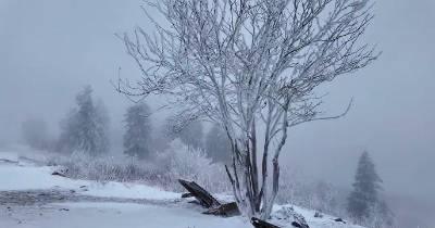 Aeroporto de Frankfurt cancela quase 100 voos devido à neve e ao gelo
