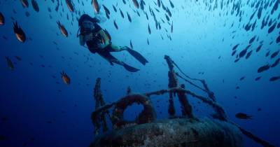 Madeira Underwater despede-se do Porto Santo (com vídeo e fotos)