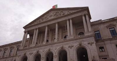 Parlamento recomenda urgência na proteção animal em situações de catástrofe