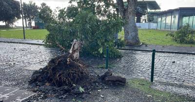 Sobe para 185 o número de ocorrências provocadas pelo mau tempo na Madeira