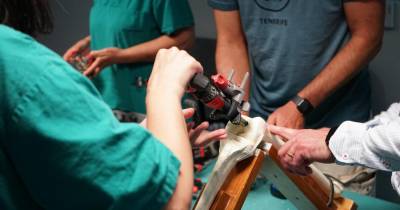SESARAM promove formação de cirurgia de implante de prótese total do joelho