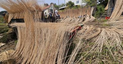 Clube Barbusano percorre levada e visita ‘obra de vimes’