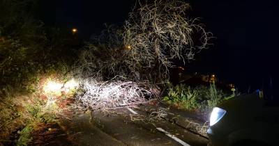Efeitos da depressão Claudia são bem visíveis nas faixas de circulação rodoviária no centro da Ribeira Brava