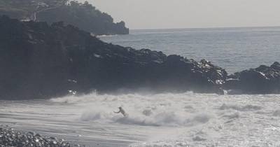 Apesar do mar revolto, vários turistas aventuram-se nas ondas.