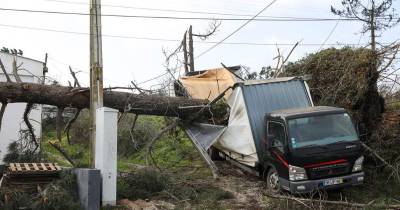 Governo Regional mobiliza técnicos da EEM para zonas afetadas em Leiria