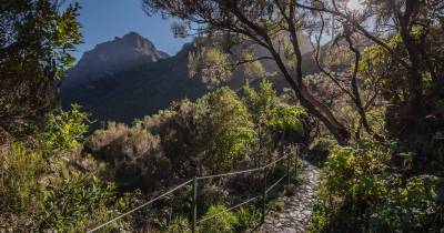 Quatro turistas resgatadas após se perderem na Levada do Norte.