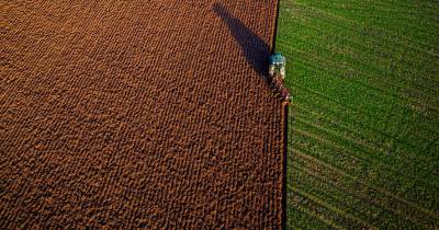 O Ministério do Trabalho queniano anunciou que vai enviar cerca de 1.500 trabalhadores agrícolas para Israel.