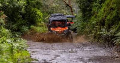 Raimundo Quintal “contra empresa especializada na destruição da Laurissilva”