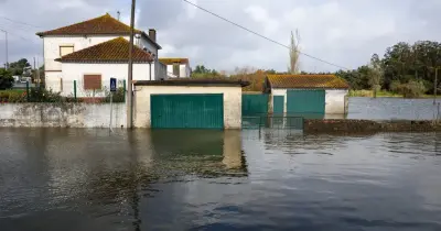 Segurança Social com mais de 200 técnicos no terreno apoia 1.537 desalojados