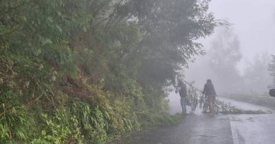 Depressão Francis já provocou 37 ocorrências na Madeira