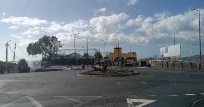 Vento forte derruba árvore em São Roque