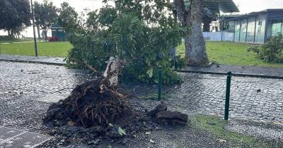 Depressão Emília provocou 353 ocorrências na Madeira