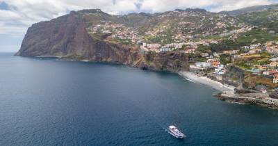 Lobo-marinho surpreende banhista que nadava na Praia do Vigário (com vídeo)