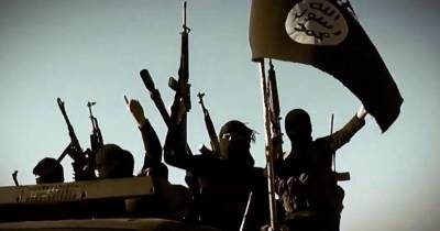 Estado islâmico emite apelo aos ‘lobos solitários’ para efetuarem massacres no ocidente