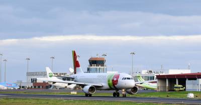 TAP prevê ultrapassar 100 aviões em 2026 e ter crescimento modesto de passageiros