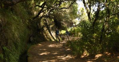 Turista hospitalizado após fadiga durante trilho no Paul da Serra