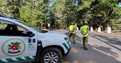 Segundo a Secretaria Regional de Agricultura e Ambiente o expediente contraordenacional segue agora agora os seus trâmites processuais.