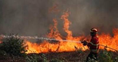 Vinte e cinco concelhos de cinco distritos em perigo máximo de incêndio