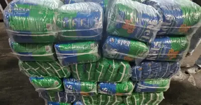 PJ desmantela cadeia de cocaína para a Europa