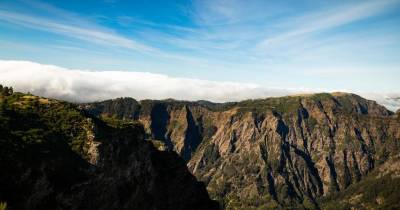 IFCN apresenta amanhã drones de apoio ao inventário e gestão florestal