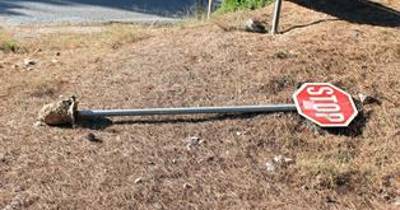 11.418 mortos nas estradas sul-africanas em 2025