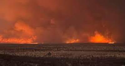 Incêndio devastador no Parque Nacional de Etosha
