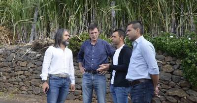 Momento da visita aos Canhas.