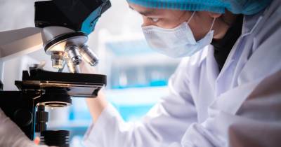 Ao invés desses anticorpos, a nanopartícula agora desenvolvida é de fácil produção, adapta-se a vários tipos de cancro e tem uma vida útil mais longa no organismo.