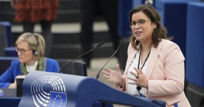 Parlamento Europeu “fez história” ao aprovar Lei do Restauro da Natureza, diz eurodeputada Sara Cerdas