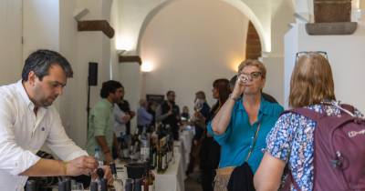Mais de 250 vinhos e espirituosos para brindar
