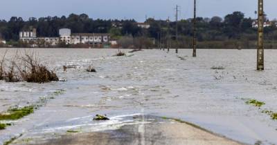 Tejo mantém alerta vermelho por subida de caudais com chuva a provocar aluimentos