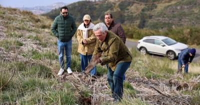 “CDS em Ação” começa com plantação de árvores no Parque Ecológico