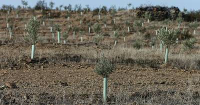 O instituto classifica em nove classes o índice meteorológico de seca, que varia entre “chuva extrema” e “seca extrema”.