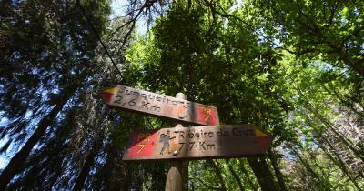 Através de uma nota enviada às redações, o IFCN recorda as condições atmosféricas que se têm registado nos últimos dias e que, se prevê, se venham a manter ao longo de hoje, “aumentam significativamente os riscos para a segurança dos utilizadores, nomeadamente a ocorrência de quedas de rochas, derrocadas e outras situações potencialmente perigosas”.