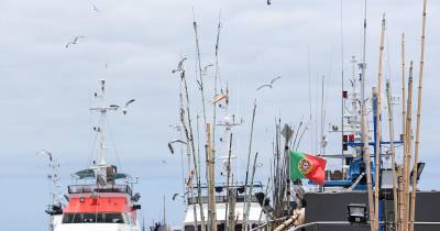 Comissão das Pescas do PE defende diferenciação dos apoios para as ultraperiferias