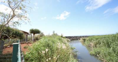 Perdidos e Achados: Lagoa resiste ao abandono. Limpeza avança em setembro