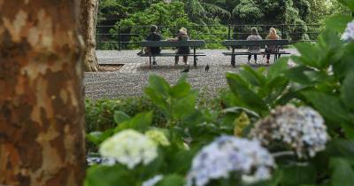 Chega com plano estratégico para transformar e valorizar a freguesia do Monte