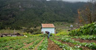 A rubrica ‘Perdidos e Achados’ desta semana dá a conhecer o sítio dos Lamaceiros.