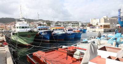 Navios de comércio e embarcações de recreio continuaram a crescer em 2024