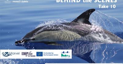 Museu da Baleia da Madeira comemora do Dia Nacional do Mar